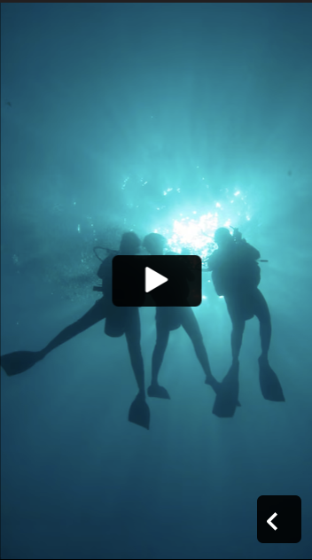 Bali Marine Diving