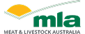 mla